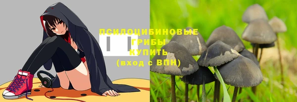 амф Аркадак