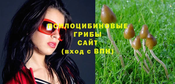 амф Аркадак