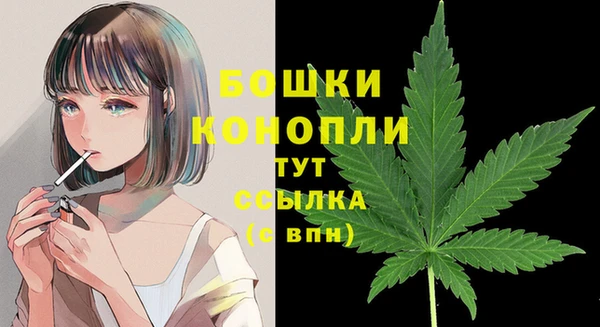 твердый Арсеньев