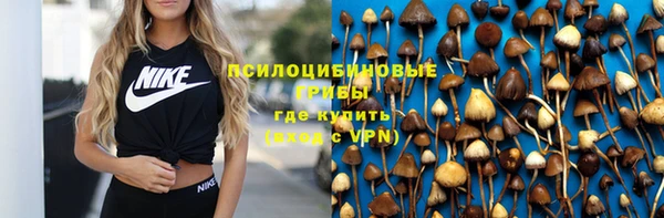 твердый Арсеньев
